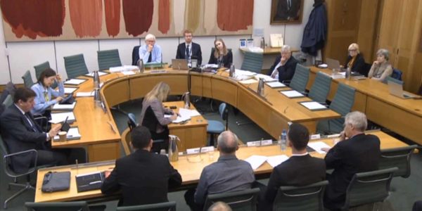 Select-Committee-Overview-1-1-600x300